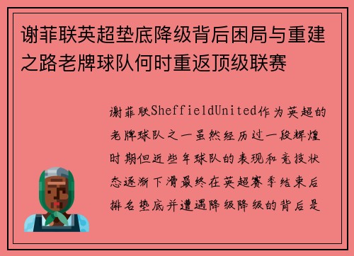 谢菲联英超垫底降级背后困局与重建之路老牌球队何时重返顶级联赛